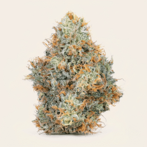 Stardawg
