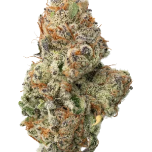 White Widow