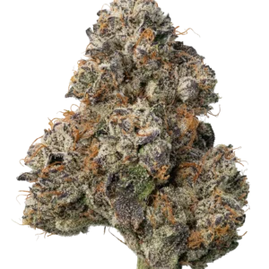 Lemon Cherry Gelato