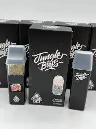 Jungle Boys Disposables