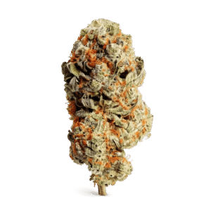 Cheddar Cheese