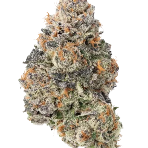 Gorilla Cookies